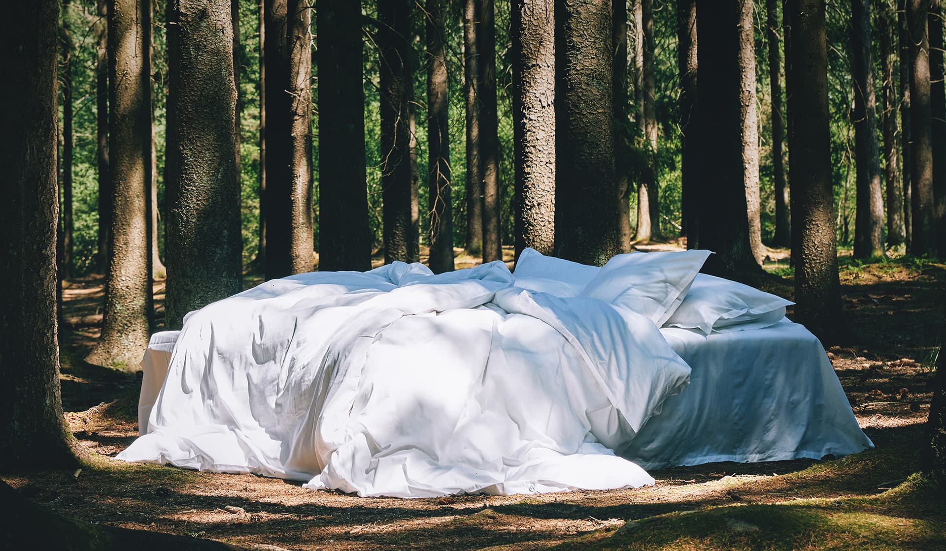 Bedding Bed linen, towels, blankets, in organic cotton online.